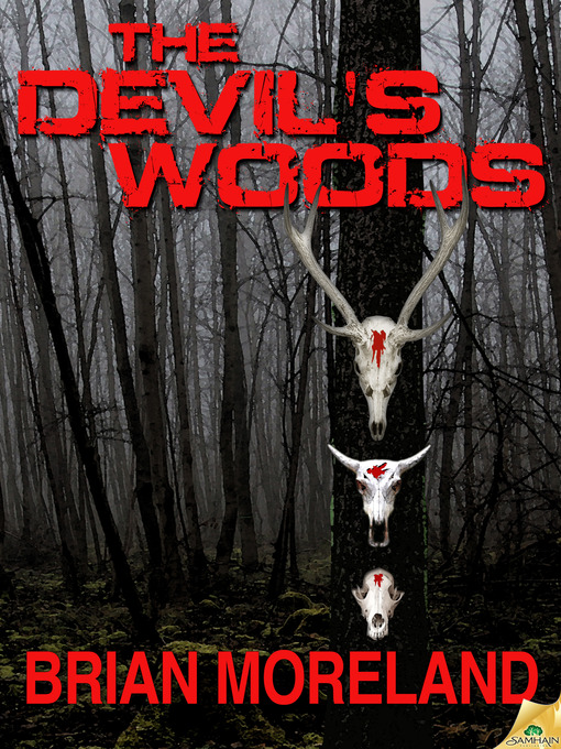 Cover image for The Devil's Wood